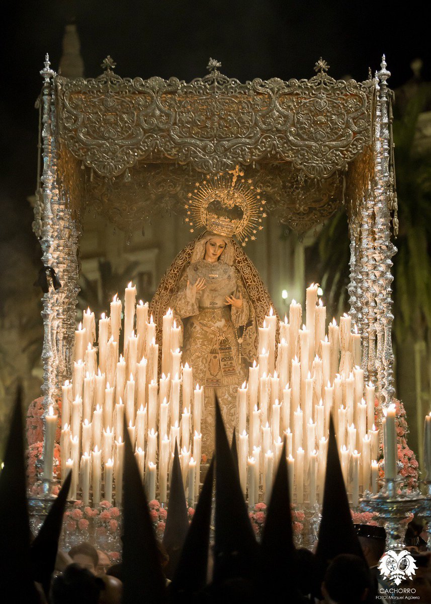 'Hoy la Virgen María subió a los cielos: alegraos porque con Cristo reina para siempre'. 

Feliz día de la Asunción.

#DiaDeLaVirgen18