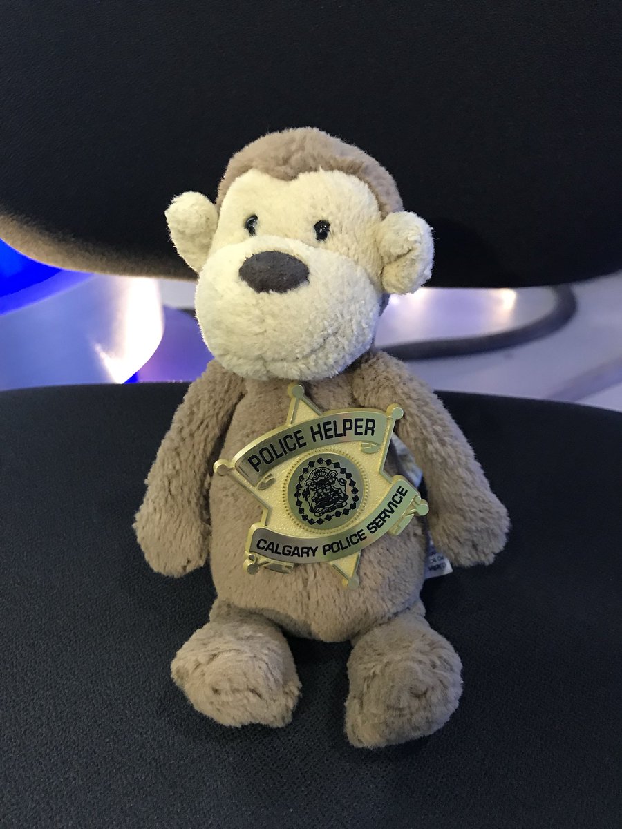 Courtney_YYC's tweet photo. WANTED: Georges owner! Calgarian @darrenhailes found him in Sunnyside a couple days ago. He has since gone rock climbing, bike riding, luge, and hung out with @CstShaw from @CalgaryPolice! Today’s he’s hanging on @CTVMorningYYC! RT to help us find his owner!!#georgeinyyc #yyc https://t.co/CC1n8wzSlL