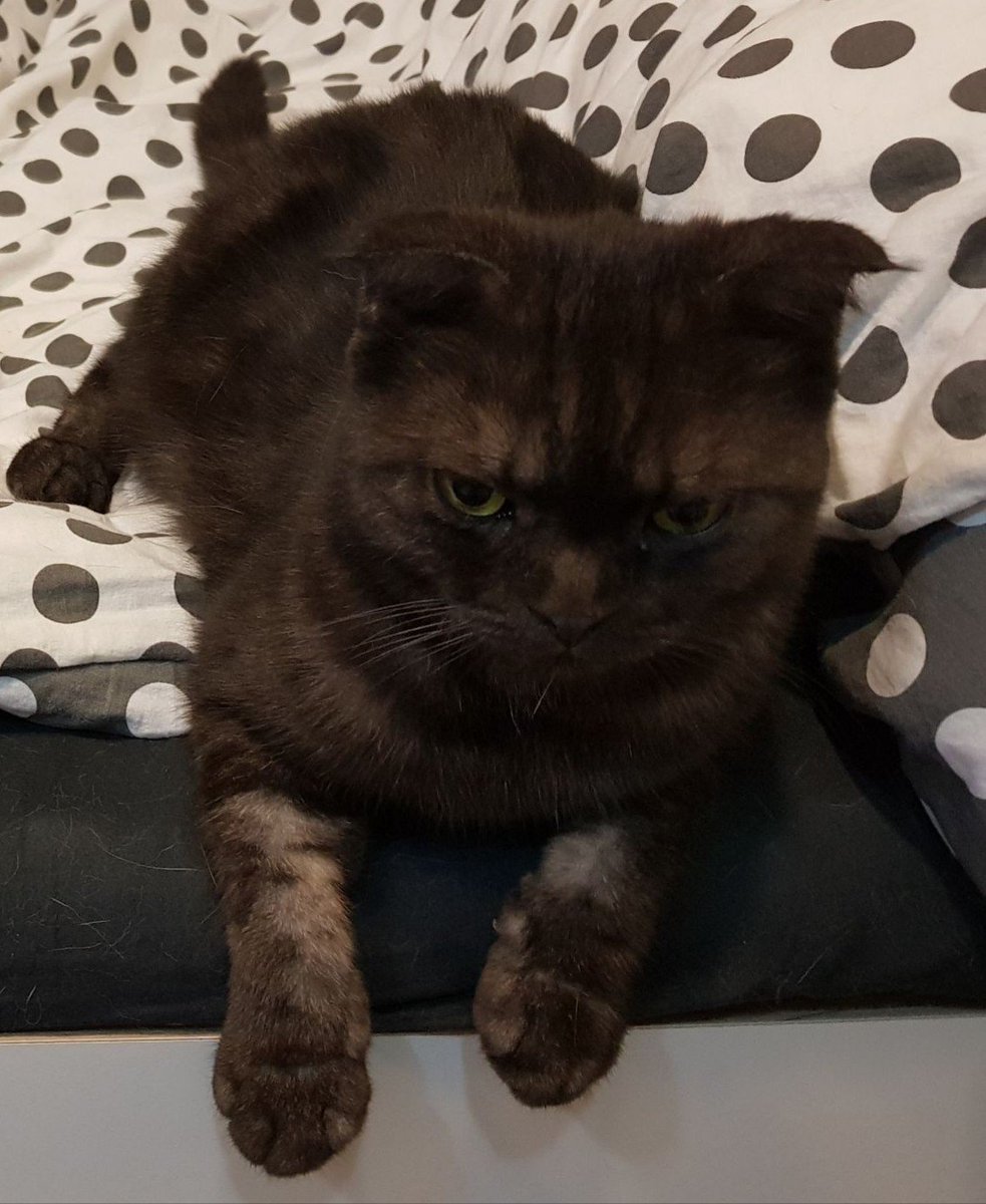 keika♒️🤗💓😸 tweet media