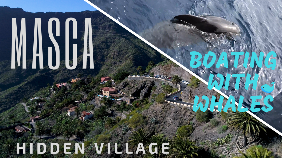 Started off with a boat trip to mind-blowing cliffs called Los Gigantes and even got to see some pilot whales along the way. Continued with exploring a hidden village of Masca that is generally considered to be Tenerife's most beautiful village!🐋⛰
youtu.be/AvIIbCsb_g8