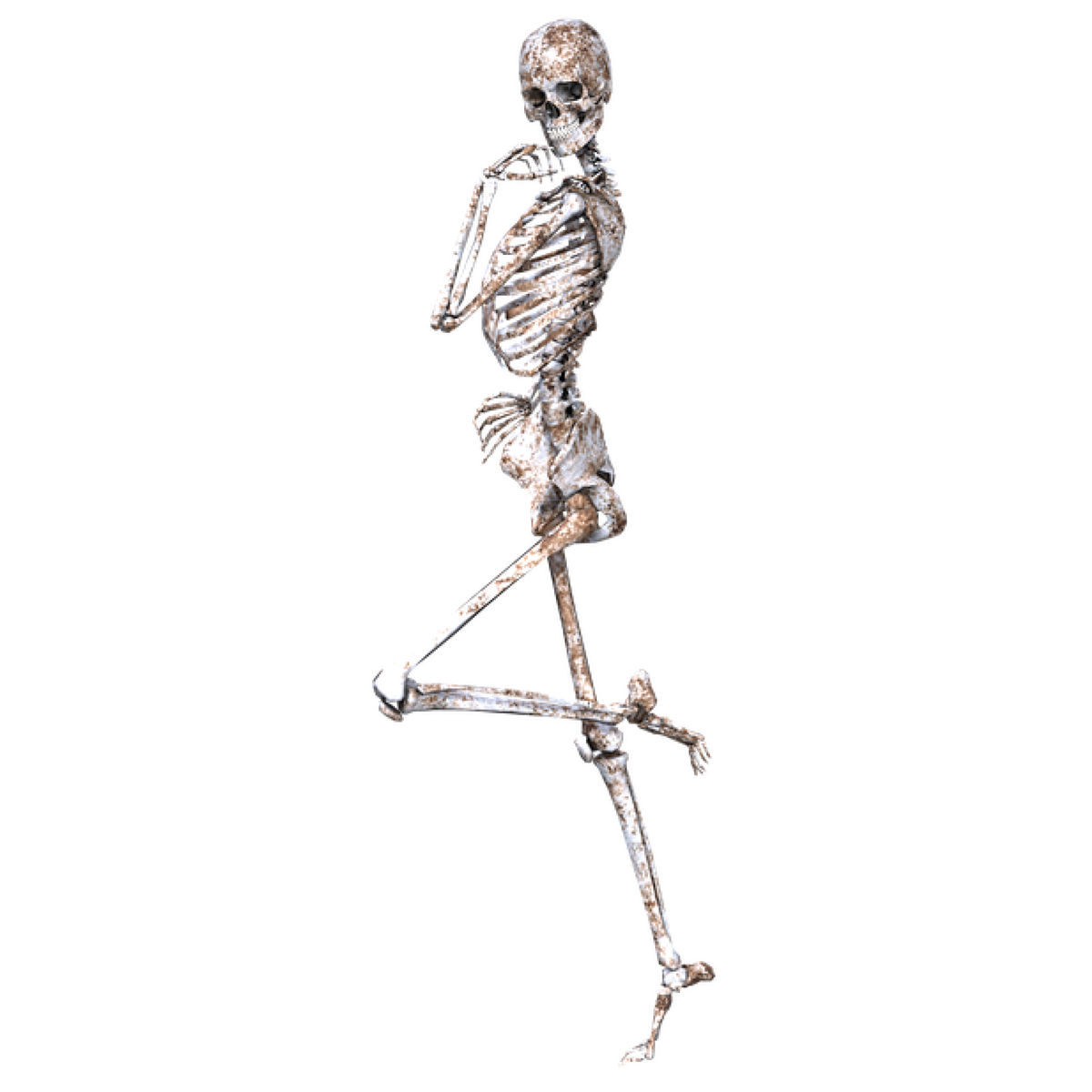 CobaltFoxx's tweet photo. New T-shirt available - Skeleton - Numerous sizes and styles available - https://t.co/vGNQ5FA48X https://t.co/FULzOVcJ9p