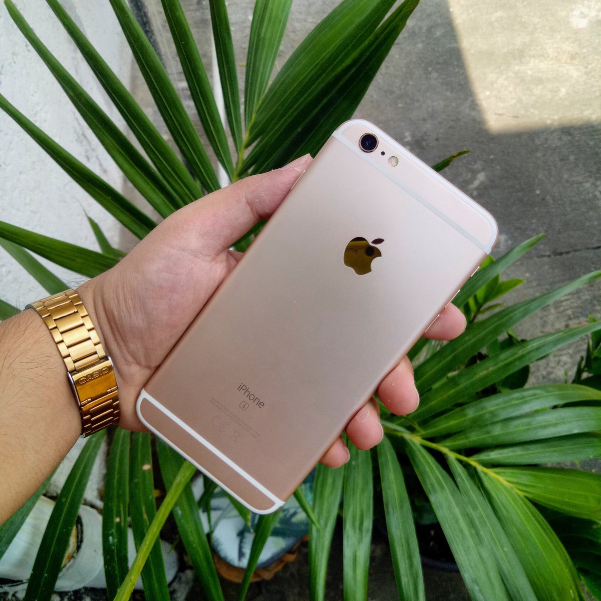 heraldyvve's tweet image. Gold #New #Finally #6sPlus