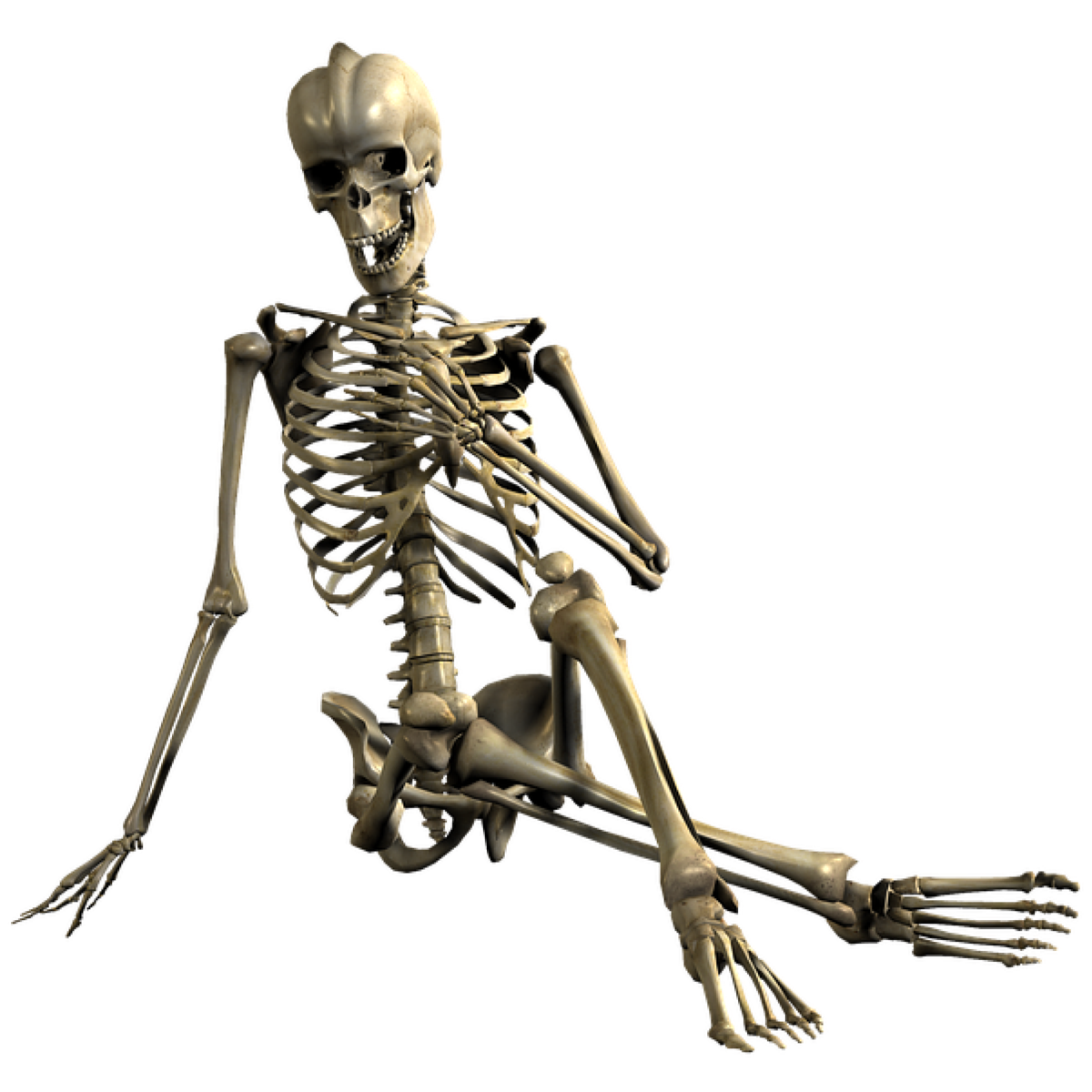 CobaltFoxx's tweet photo. New T-shirt available - Skeleton - Numerous sizes and styles available - https://t.co/sMnrZp2tjn https://t.co/vWEaMUpL4b
