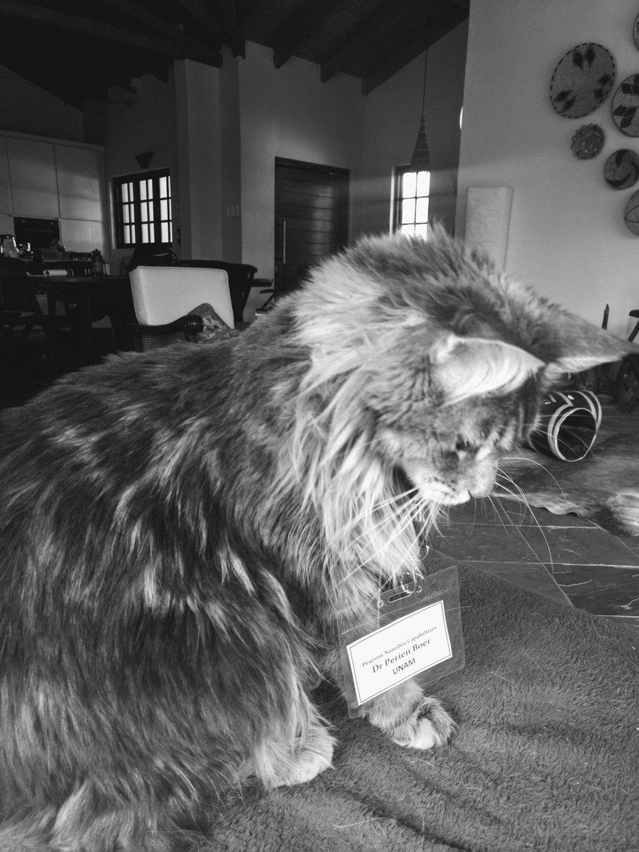 Perien_Boer's tweet photo. Day 4: Challenged by @tutaleni days of black and white photos of my life. No humans. No explanations. Challenge someone new everyday.  Today I challenge @lislebougard https://t.co/GODD92Sca0