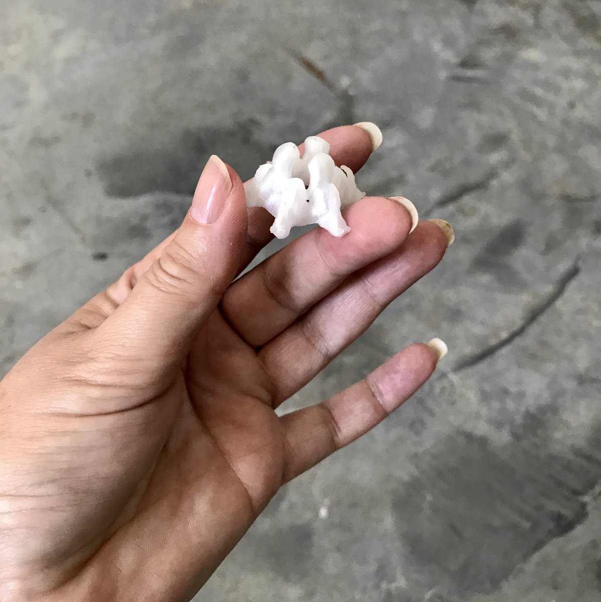 AnnaDumitriu's tweet photo. Working on our #ArchaeaBot project @LABoral yesterday - we have the 3D printed Archaellar motor done and some of the internal workings in place. #summerofrobots #EMAP #EMARE https://t.co/axqLX7EH4Q