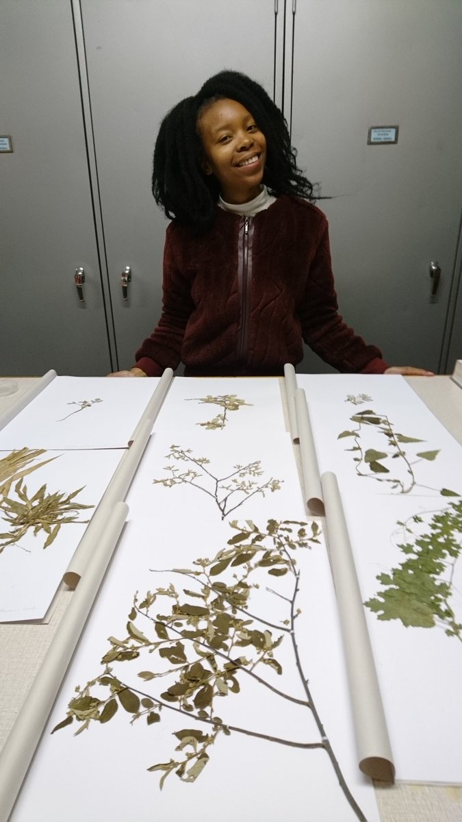 Making excellent progress on the Okavango collection! #GeoPotts #Womenofkovsies