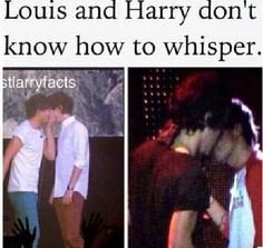 goodnightngo___'s tweet image. ORA VI BLESSO. BUON FERRAGOSTO. #DirectionersNeverDie #WeStillSupportOneDirection