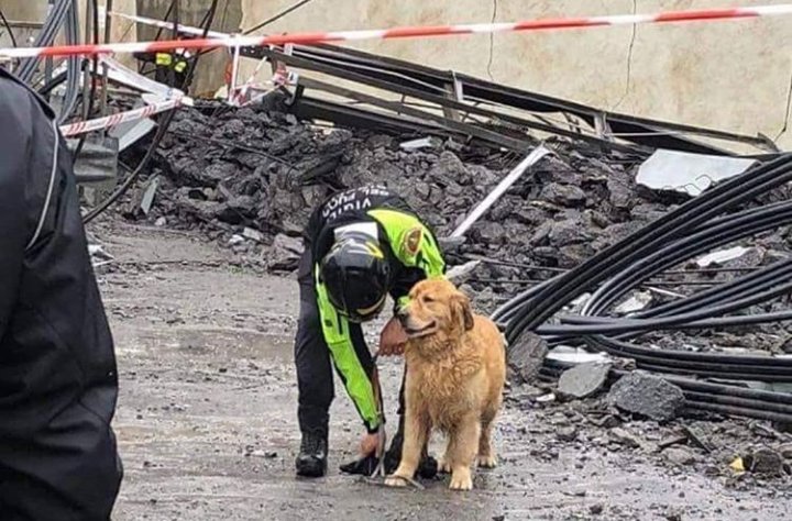 La tragedia di Genova copre questo ferragosto con un velo grigio, come il nostro cielo. Mi preme ringraziare chi si trova costantemente in prima linea per salvarci dalle macerie, dalle valanghe oppure in acqua.