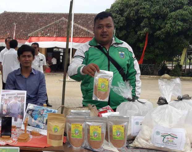 JAPASE ( Jahe, Pandan, Sereh ) dan Jamur Tiram yang dikelola oleh BUMDES SEJAHTERA MANDIRI Desa Karyautama, Kab Pandeglang  …eglangkaryautama.desa.kemendesa.go.id/index.php/prod…