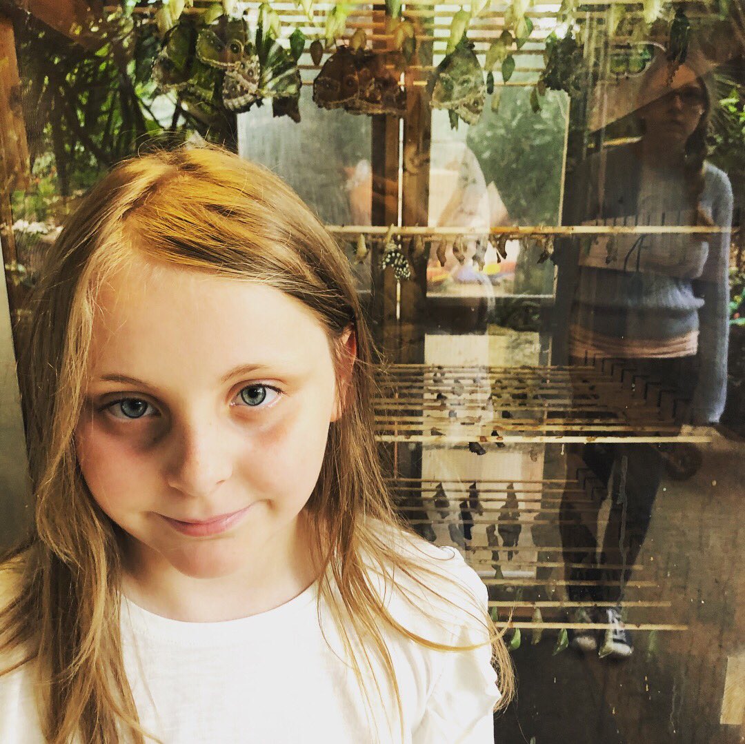 erin hanlon (erinhanlon11) Twitter