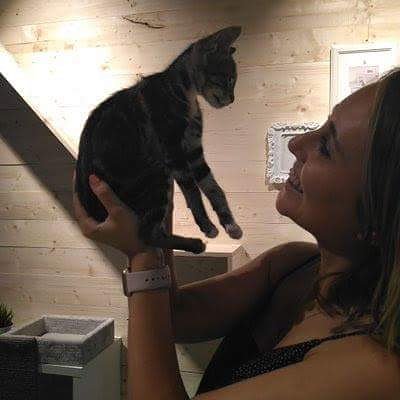 cclepicentre's tweet photo. En Maskokotas tienen un espacio de #adopción MIAO.
Estos son los primeros afortunados que se han ido rumbo a su nuevo hogar. 😻 😻 😻😍😍😍😍
*Fotos de Maskokotas
#cclepicentre #Maskokotas #PuertodeSagunto #Sagunto #Mascotas #Shoppingcenter #happy #MIAO https://t.co/GdPIaSi1KJ
