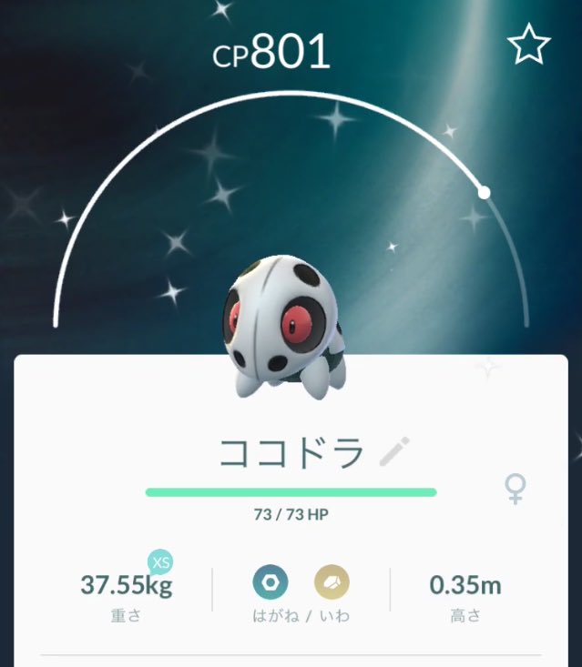 色違いコドラ 色違いコドラ