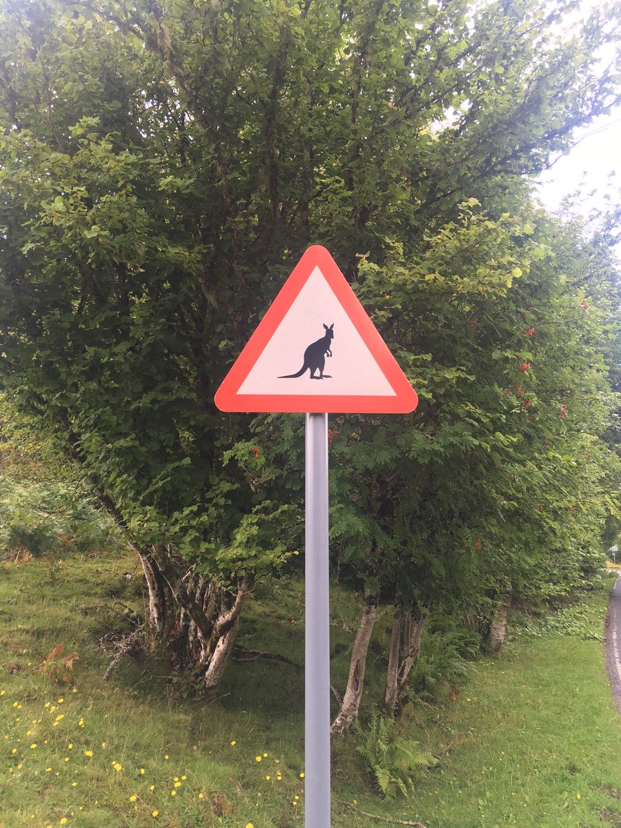 It always surprises me the different road signs you find whilst out on survey in the remote parts of the country. However, these recent two were very helpful for a surveyor! #shepherdsurveyors