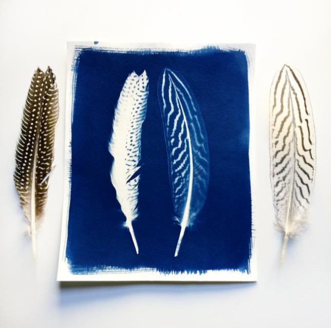MadeinArtsLDN's tweet photo. #MiALArtist @_HFletcher will be hosting 2 workshops at #MiAL x #CanopyMarket takeover @kingscrossN1C Sun 26th August! You can learn how to use camera-less photography technique #cyanotype to create your own works of art!
Spaces are limited to book now: https://t.co/oVX7jE5dCW https://t.co/iSqZ5XS4lO