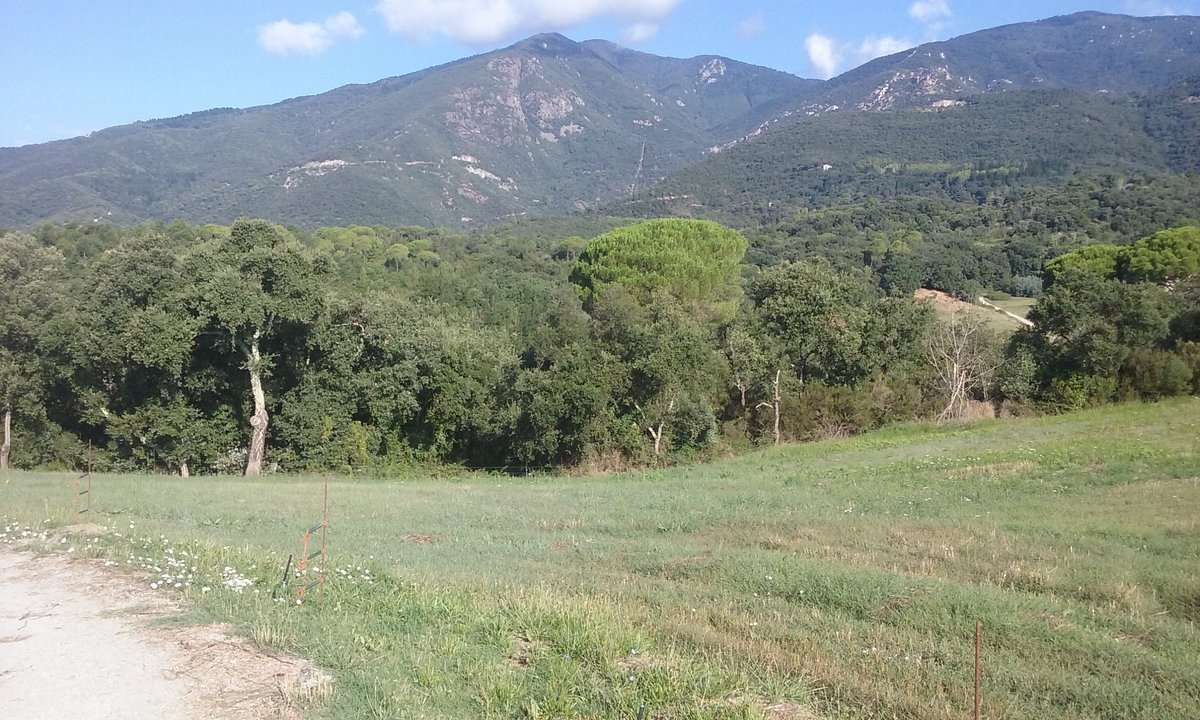 Josep_Trigo's tweet photo. FENT LA CAMINADA POPULAR A #GUALBA al cor del #Montseny @gualbainfo @parcdegualba @InfoClau @xrtrigo @CoiaValls @baixmontseny @ramoncotarelo @BCNspiracy @NorteVisus @carneisabel @JordiFraxedas @TomasMolinaB https://t.co/nv9YT7vlMv