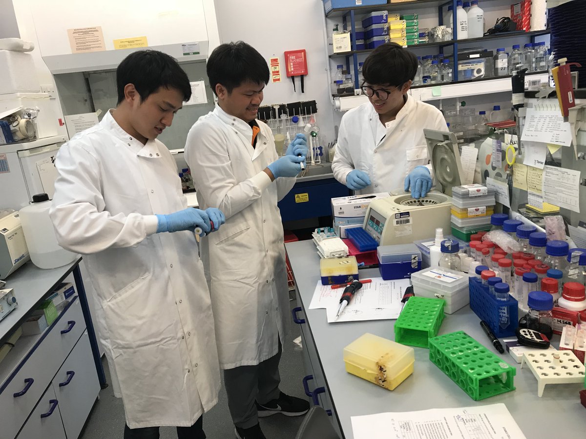 GCRF_Biopharma's tweet photo. Next stop for researchers from NBF: the University of Kent, where they are training in upstream processes for biopharmaceutical production in CHO and E. coli https://t.co/EmKNXmNMed