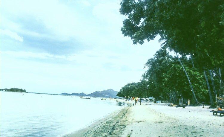 Koh Samui 🌴🌳🐢🐒