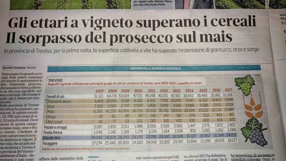 Il #prosecco si divora il mais. Come cambia un paesaggio in dieci anni: <a href="/dferrazza/">daniele ferrazza</a> sulla <a href="/tribuna_treviso/">tribuna di Treviso</a>