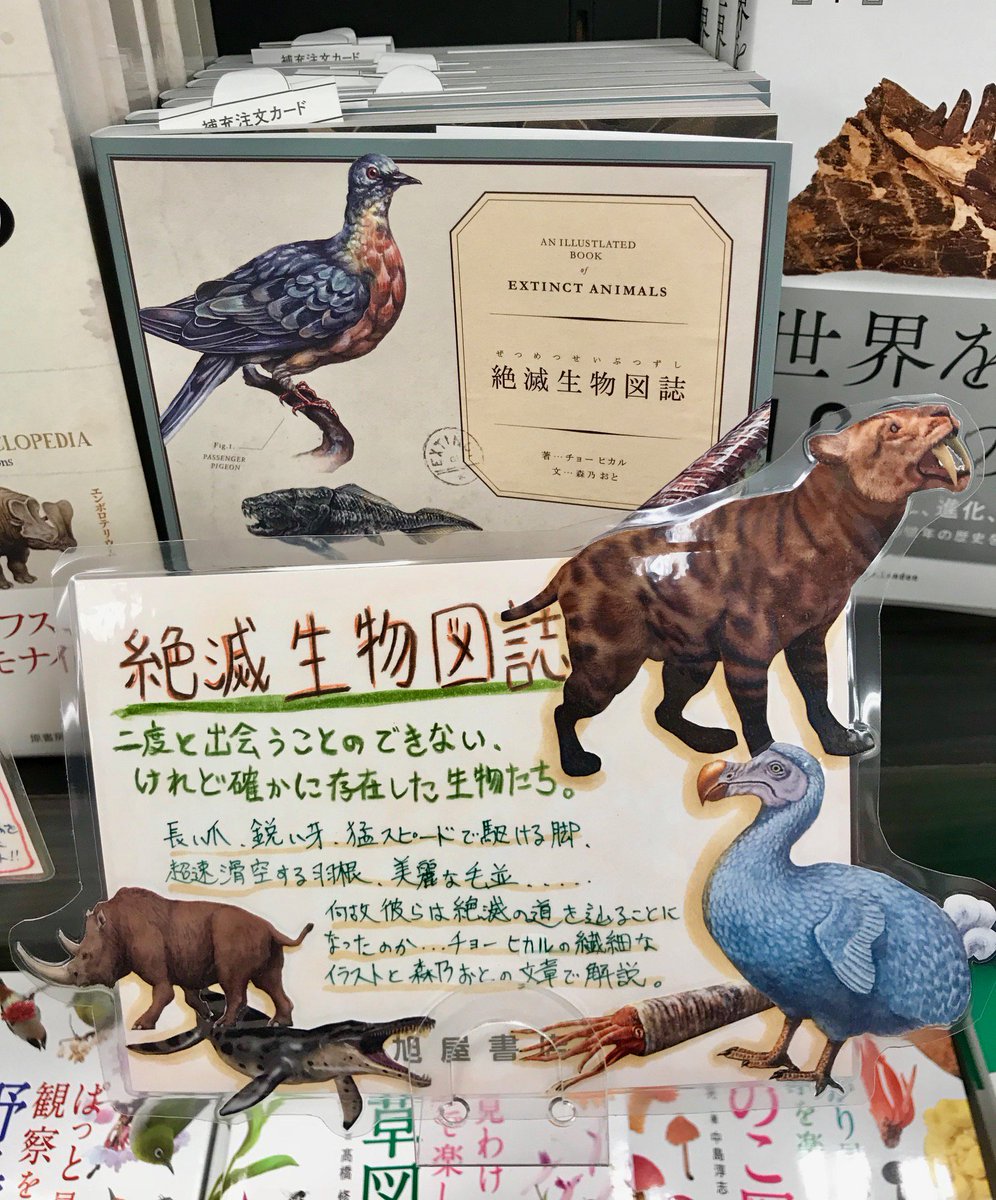 旭屋書店なんばｃｉｔｙ店 Ar Twitter 理工書オススメ カラーイラストで見る恐竜 先史時代の動物百科 原書房 絶滅生物図誌 雷鳥社 恐竜をはじめ絶滅した動物たちに 人間はノスタルジーを感じがちです 多くは人間自身のせいで絶滅してしまったのに勝手な