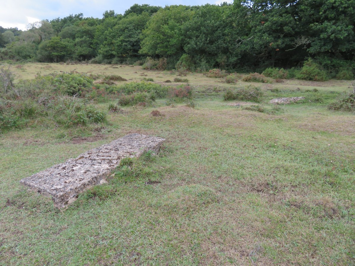 Crockford Stream is a gently meandering watercourse half way between Beaulieu and Lymington, where pretty much the only other visitors are ponies and cattle. But alongside the stream it’s possible to see large concrete monoliths with no apparent purpose.