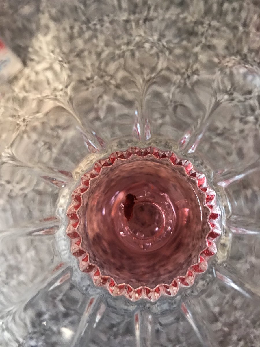 MzJacqz's tweet photo. Guys look at what I found in my drink. Literally poured this from my @OceanSprayInc Cranberry Juicebox. #Disgusted #Scarredforlife #Insectophobia https://t.co/FPd8472TGh