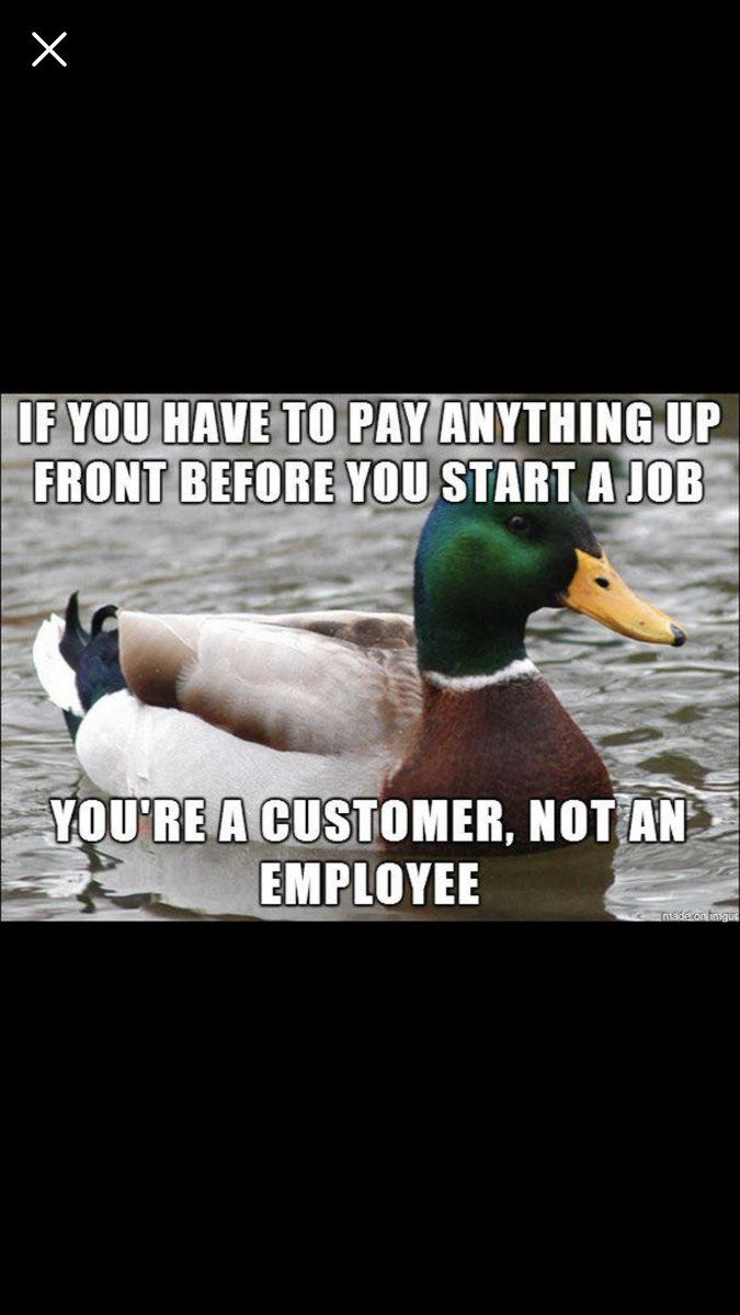ex_boss_babe's tweet photo. Word up ya’ll! https://t.co/U17Esdv9tf