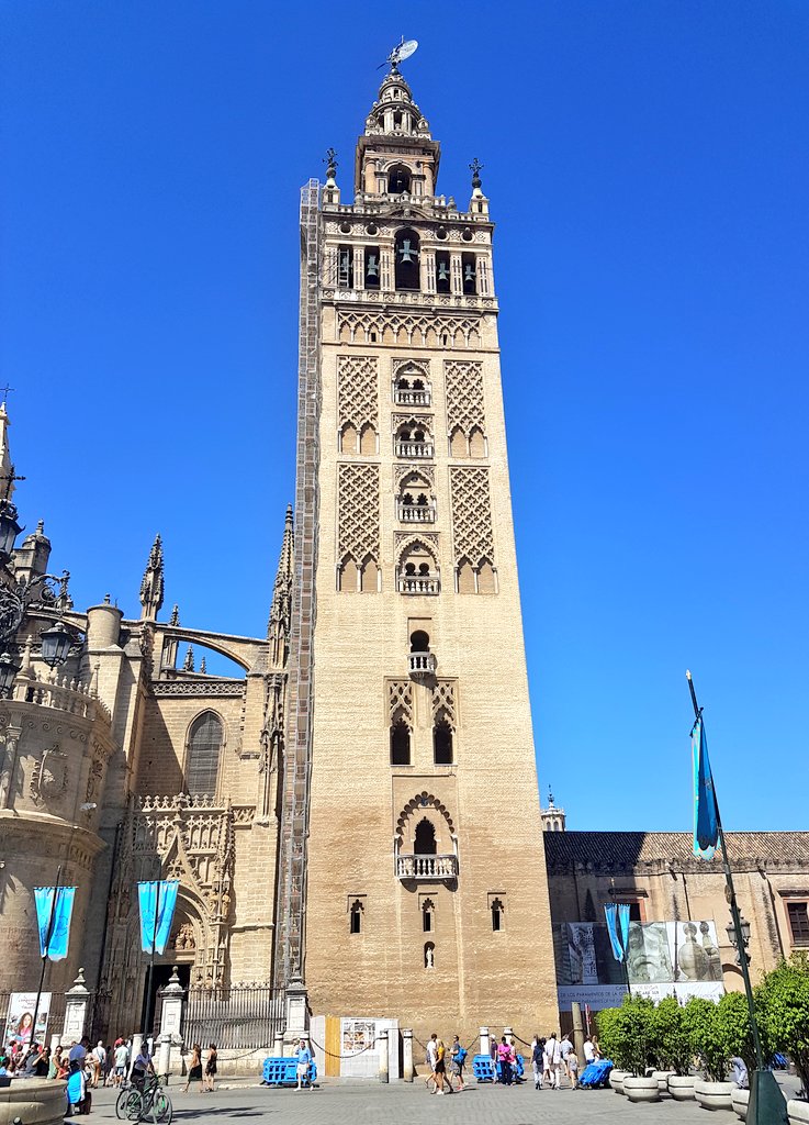 Hoy tienes algo especial...

#DiaDeLaVirgen18 #VirgenDeLosReyes #Sevillahoy