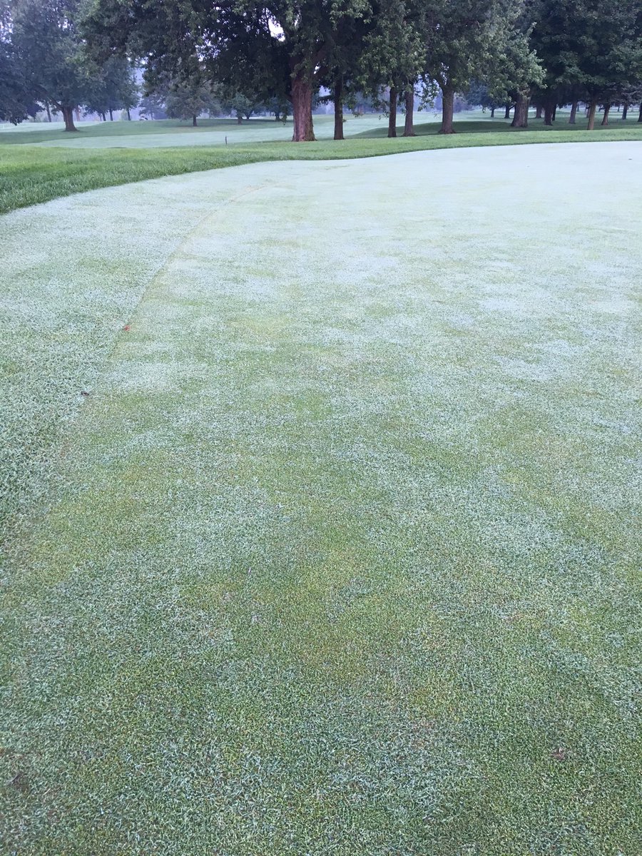 Mark Piccolo tweet media