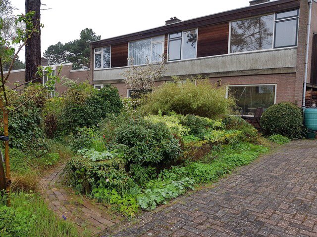 Te koop op #Vlieland!
Een ruime halfvrijstaande woning met praktijkruimte in een bosrijke omgeving.
makelaardijvisser.nl