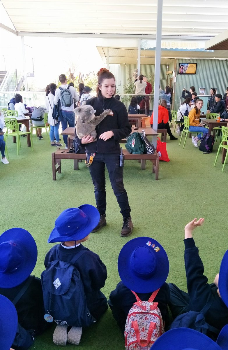 Helen Zhang tweet media