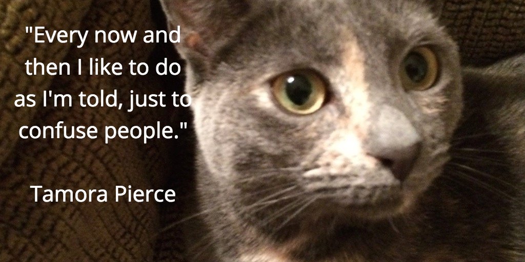 FibrinogenFree's tweet photo. #WednesdayWisdom 
Tamora Pierce https://t.co/m3pFfVH2kt
