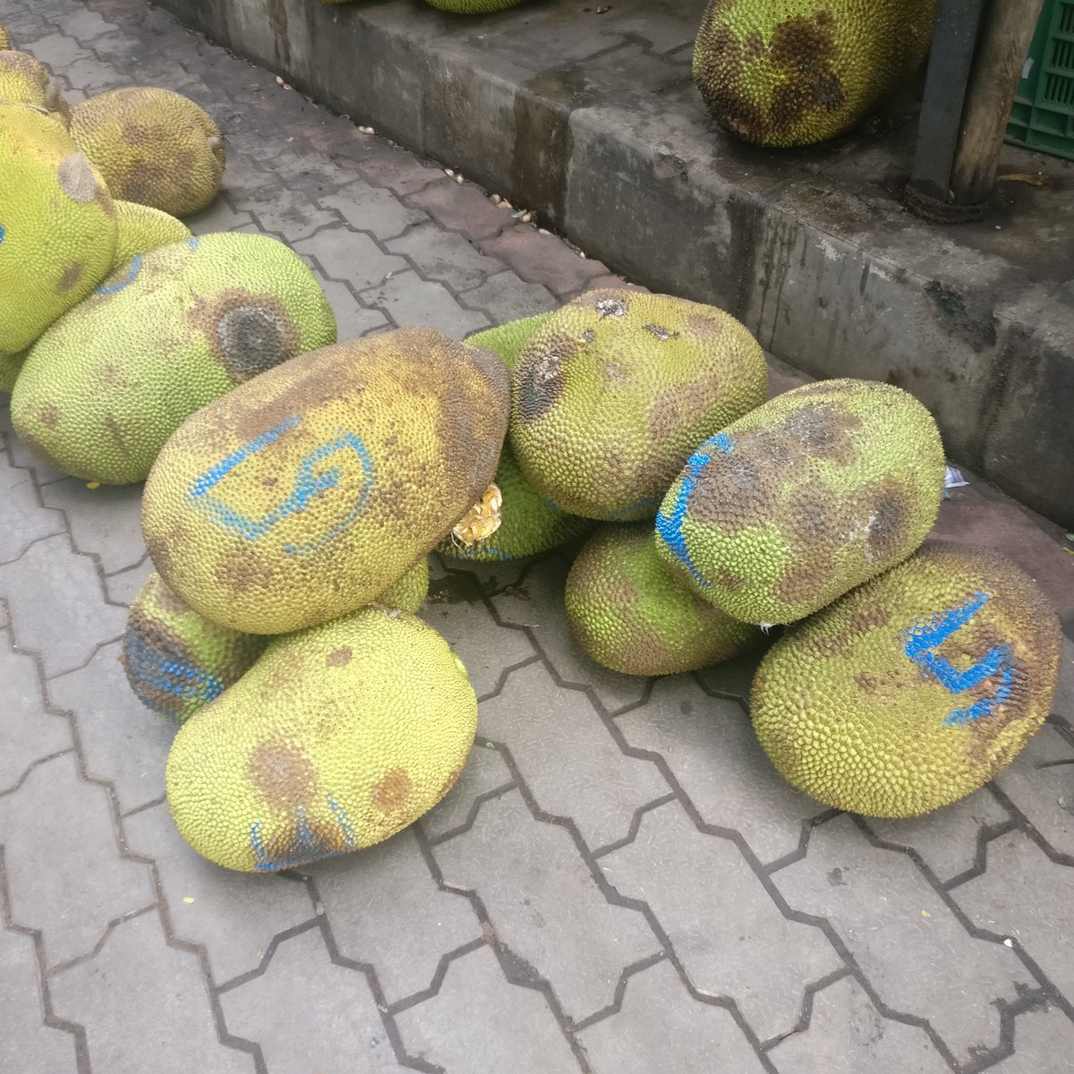 Unbeautiful7's tweet photo. Our team leader @sakshi_agarwal_ went to the Madiwala Mandi to conduct a survey on #uglyproduce. Every day about 10 BBMP trucks wait outside this mandi to sweep off the produce thrown on the road and dump it in the landfills! #generationIB #environmentIB https://t.co/2UFuUvbtgp