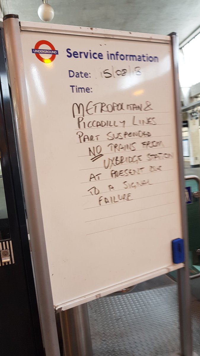 David Pap tweet media