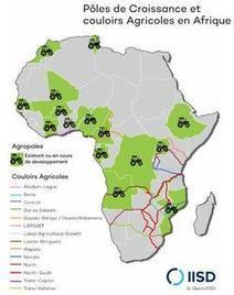 JJGrodent's tweet photo. L'émergence des pôles de croissance agricole en Afrique https://t.co/odyX0qtNg3 https://t.co/IUDrvlWkya