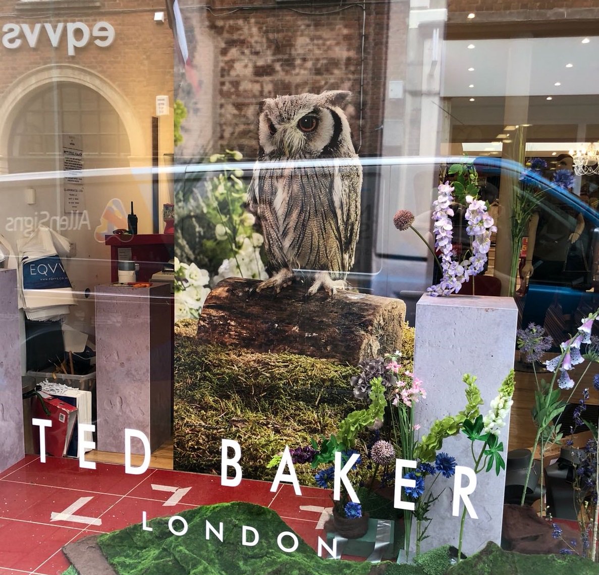 Allen_Signs's tweet photo. Take one superb window display, add some stylish window #graphics and this is the result! We're really pleased with this job for #Eqvvs in #Lincoln. #sign #display #eastmidlands https://t.co/4Mk47doSax
