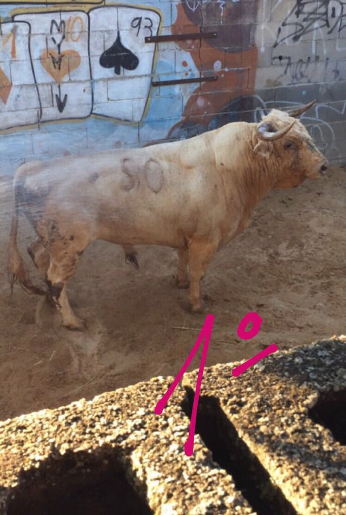 El lote para esta tarde en Roa de Duero (Burgos), número 50 y 22. ☘️☘️☘️
