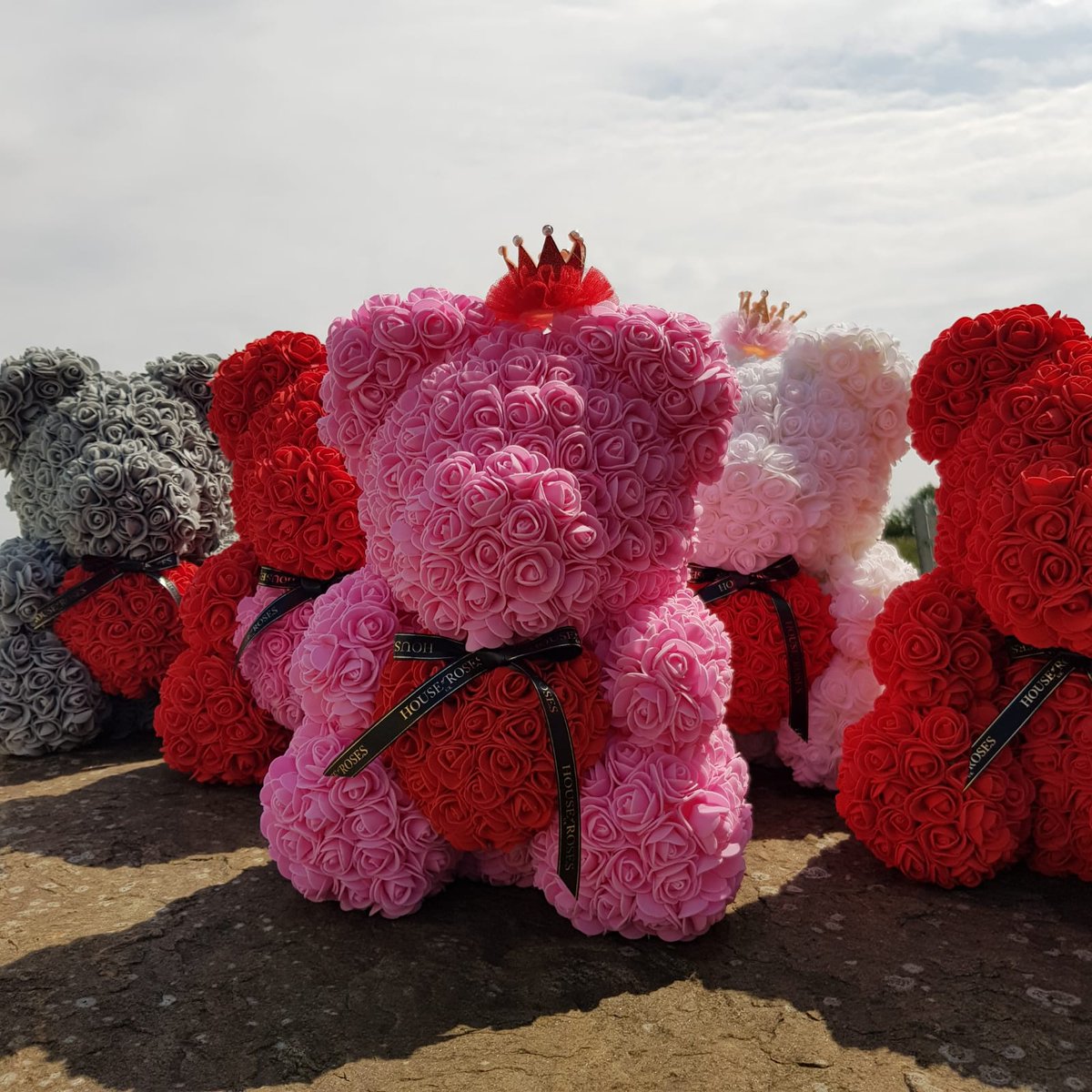 rose teddy bear instagram