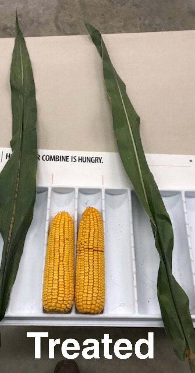 Can’t wait to see what harvest brings with Trivapro!