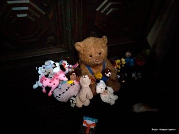 View image on Twitter