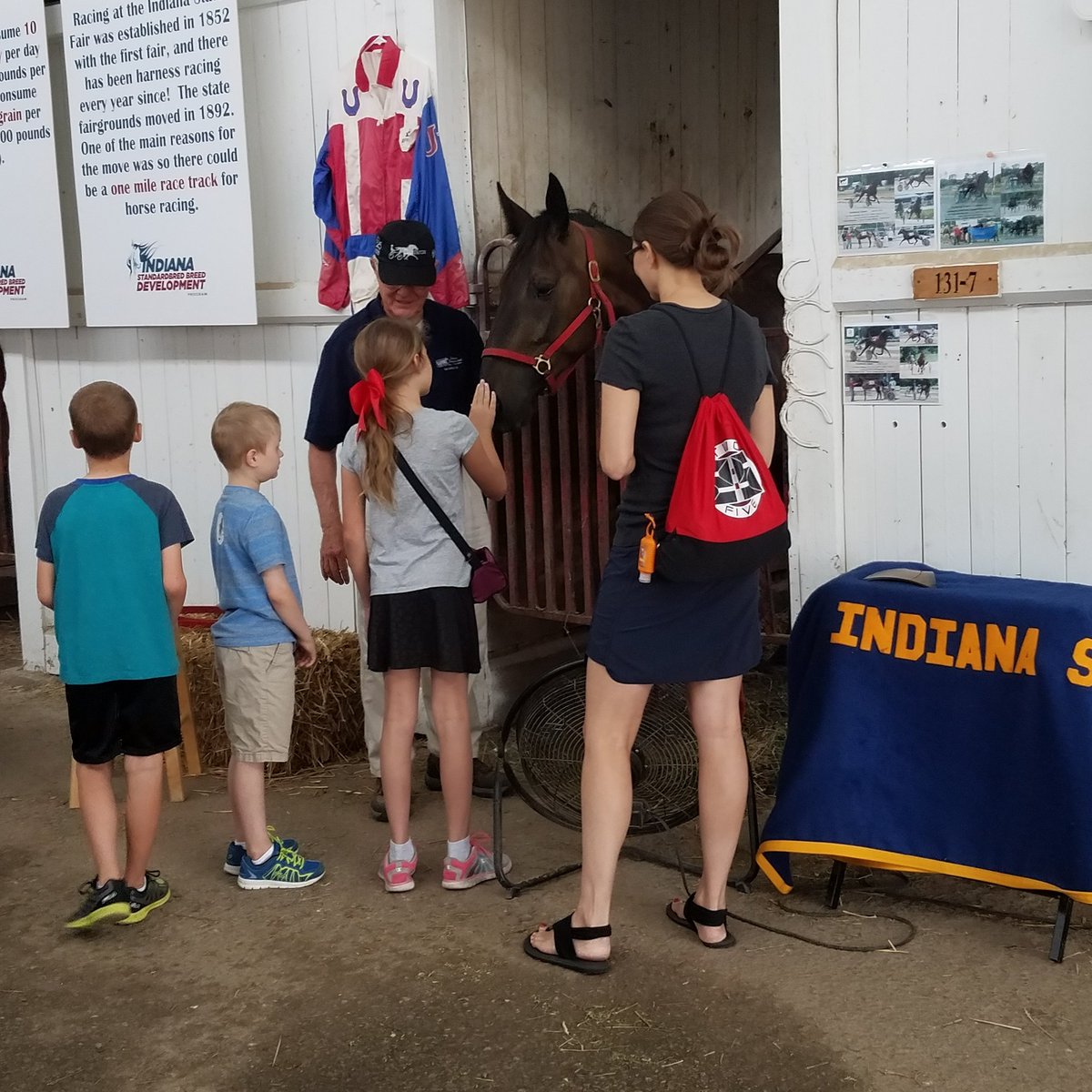 INStandardbred's tweet photo. ISA director Nat Hill brought #INDsired Victoria Swan to the @IndyStateFair for the day at our exhibit! She's enjoying the extra attention! #HoosierHorsepower #ISFC18 #harnessracing https://t.co/vXv05dBcFG