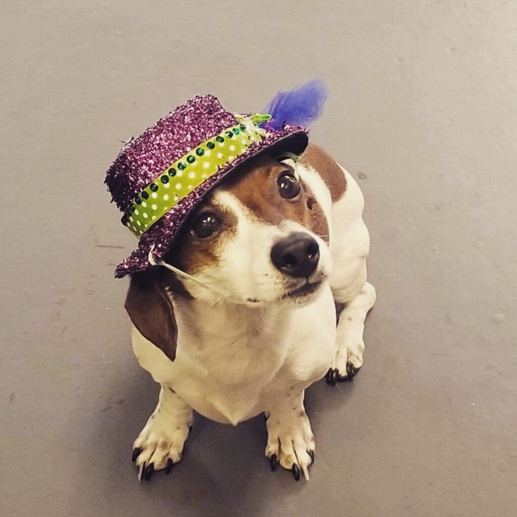 Would you like to be a Pepper too #dapper