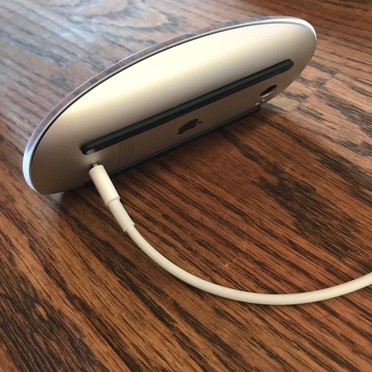 This is a great design because it encourages you to learn keyboard shortcuts while your mouse is charging