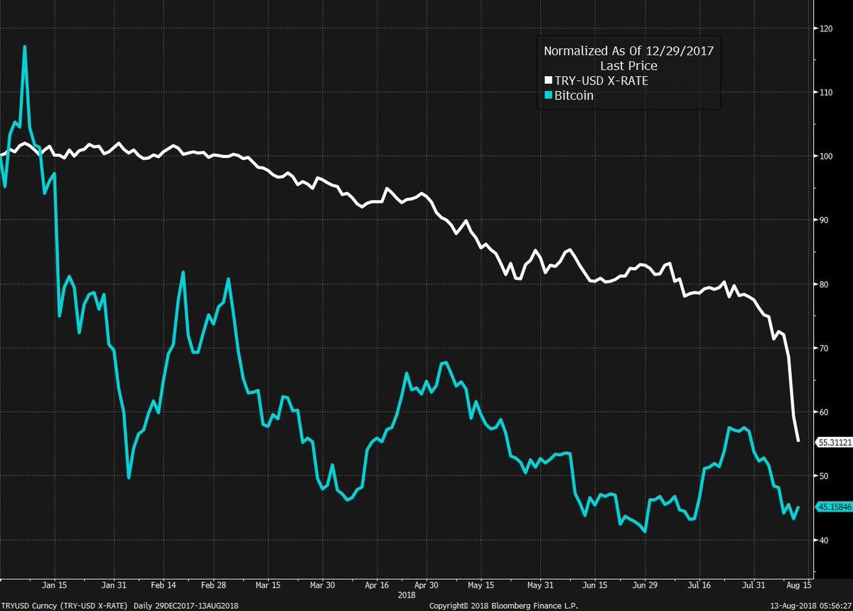 Steve Burns tweet media