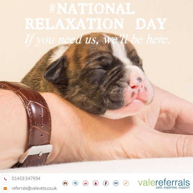 ValeReferrals's tweet image. ...and relax &quot;it&apos;s #NationalRelaxationDay If you need us, we&apos;ll be here.