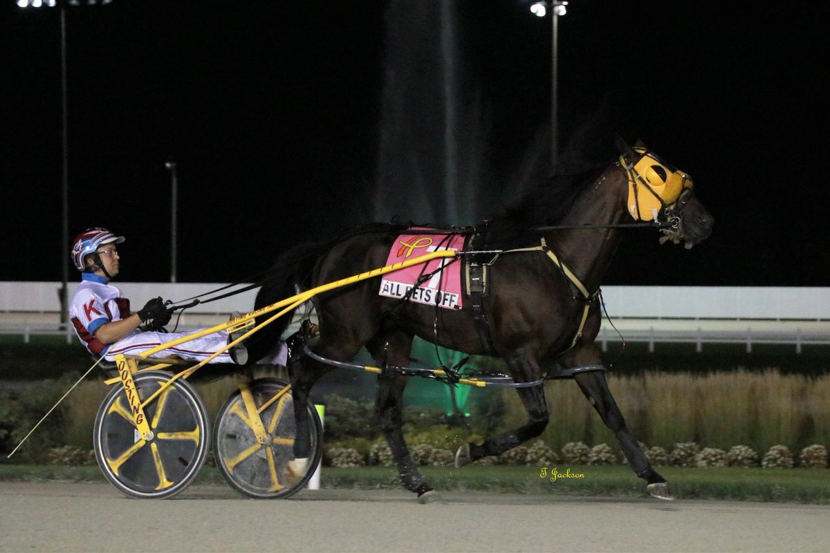 hoosiernations's tweet photo. GoodMorning @buildfgb @RonBurkeRacing @MKakaley @Chris_wponies @JoannKi32885615 @rebelsart @jtlburn @kimberlymoier @dolenski_john @vnssa926 @KathleenBaitzel @blongphee67 @SadandSulk @HoP_Racing #AllBetsOff #MattKakaley #Patch25 #PlayHP https://t.co/oPymAvzowx