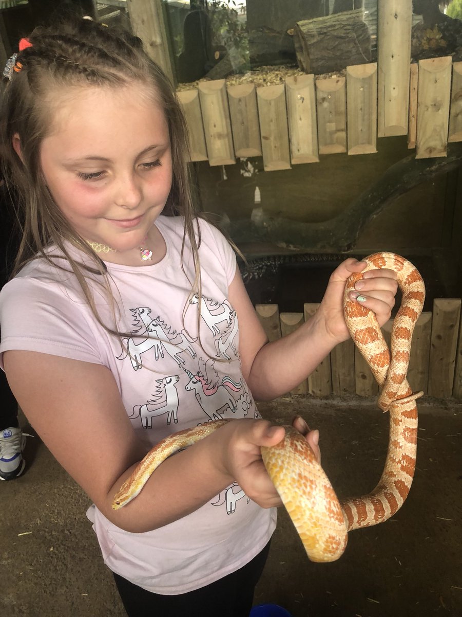 erin hanlon (erinhanlon11) Twitter