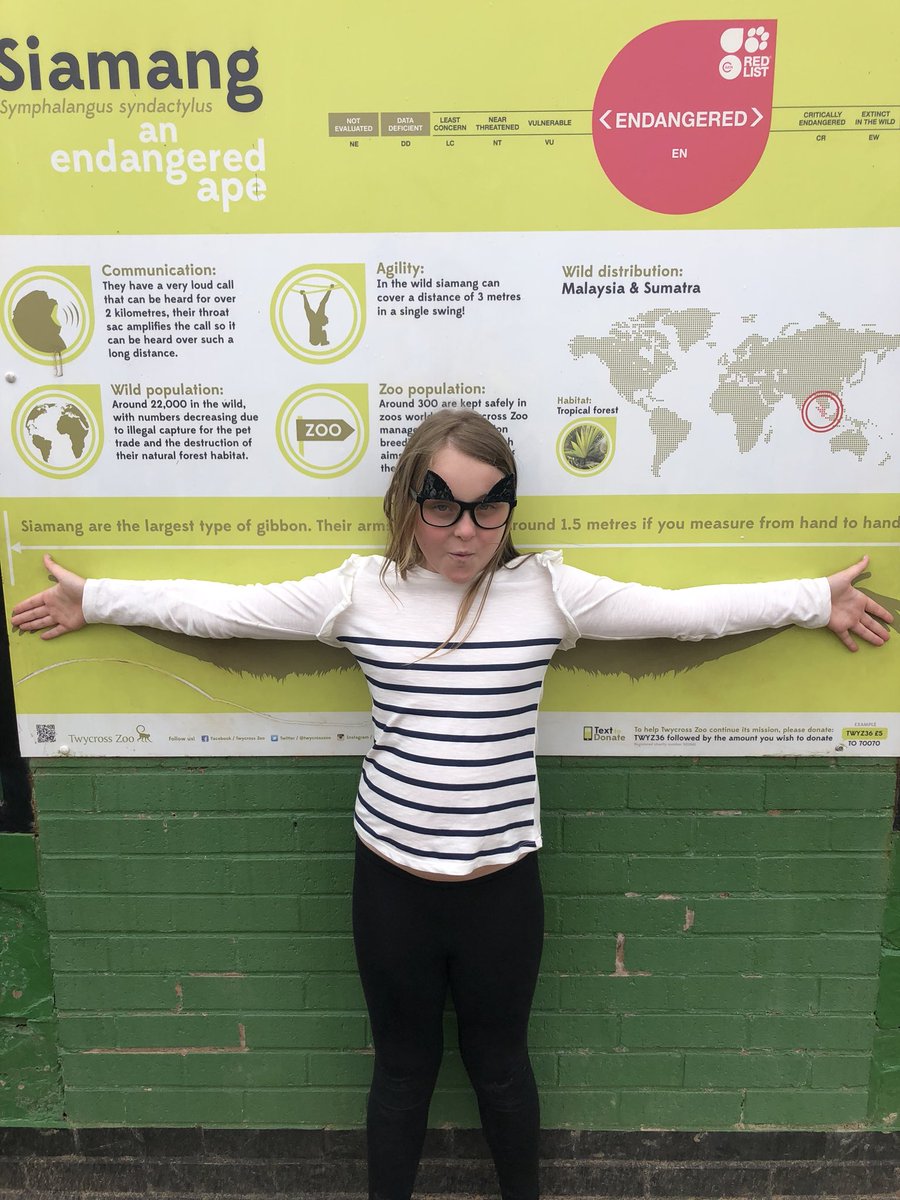 erin hanlon (erinhanlon11) Twitter