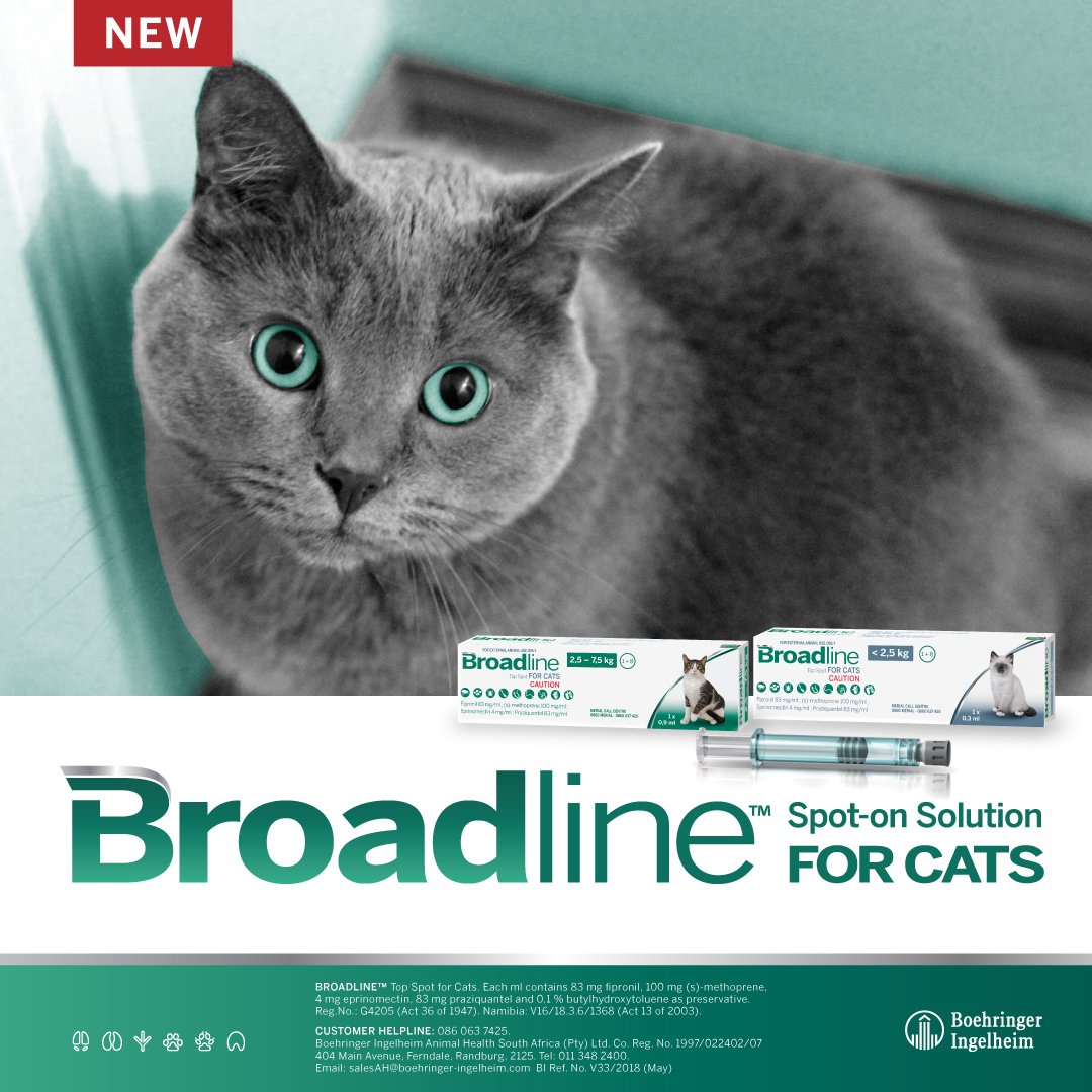 broadline for cats ebay