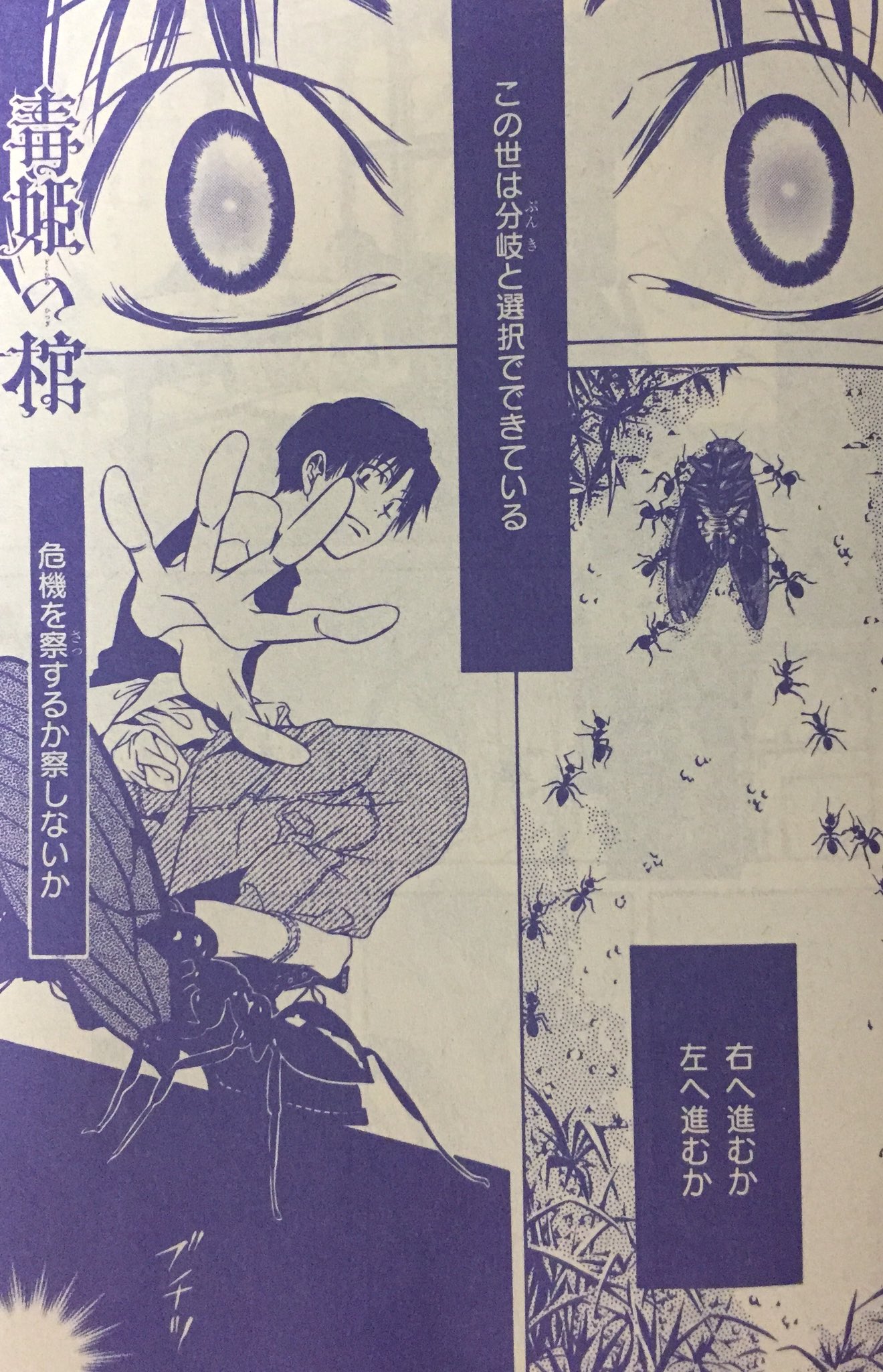 三原ミツカズ 3 22毒姫の棺 下 毒姫愛蔵版 上下 発売 ネムキ 9月号 8 13発売中 は伊藤潤二 秋野茉莉 両先生のw新連載 毒姫の棺 は諸悪の根源みたいなイカルス
