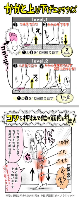 筋トレが苦手な人は「ウォーミングアップだけ」を仕事休憩の眠気覚ましにしてもイイかもです！
私は最近歯磨きしながら「かかと上げ下げ」で〈第二の心臓・ふくらはぎ〉を目覚めさせています…結構クル…。
#全身の血流促進　#冷え　#むくみ… 